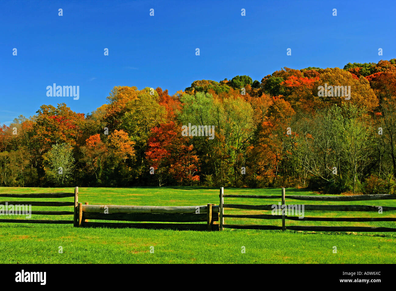 'Cadere sulla fattoria" Foto Stock