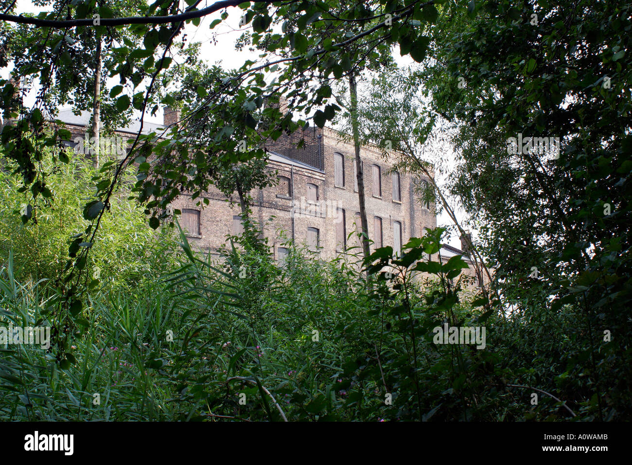 Vista della fabbrica in disuso da Camley Street parco naturale, King's Cross, Londra Foto Stock