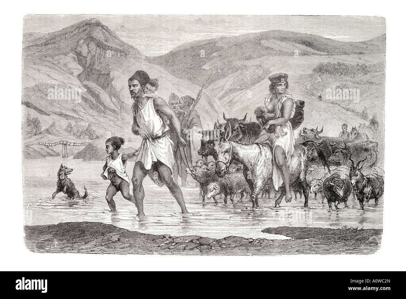 Kabyles Algeria Algeria Africa del nord africano famiglia asino capra uomo donna bambino mountain valley buoi rurale nomad vagare cane Foto Stock
