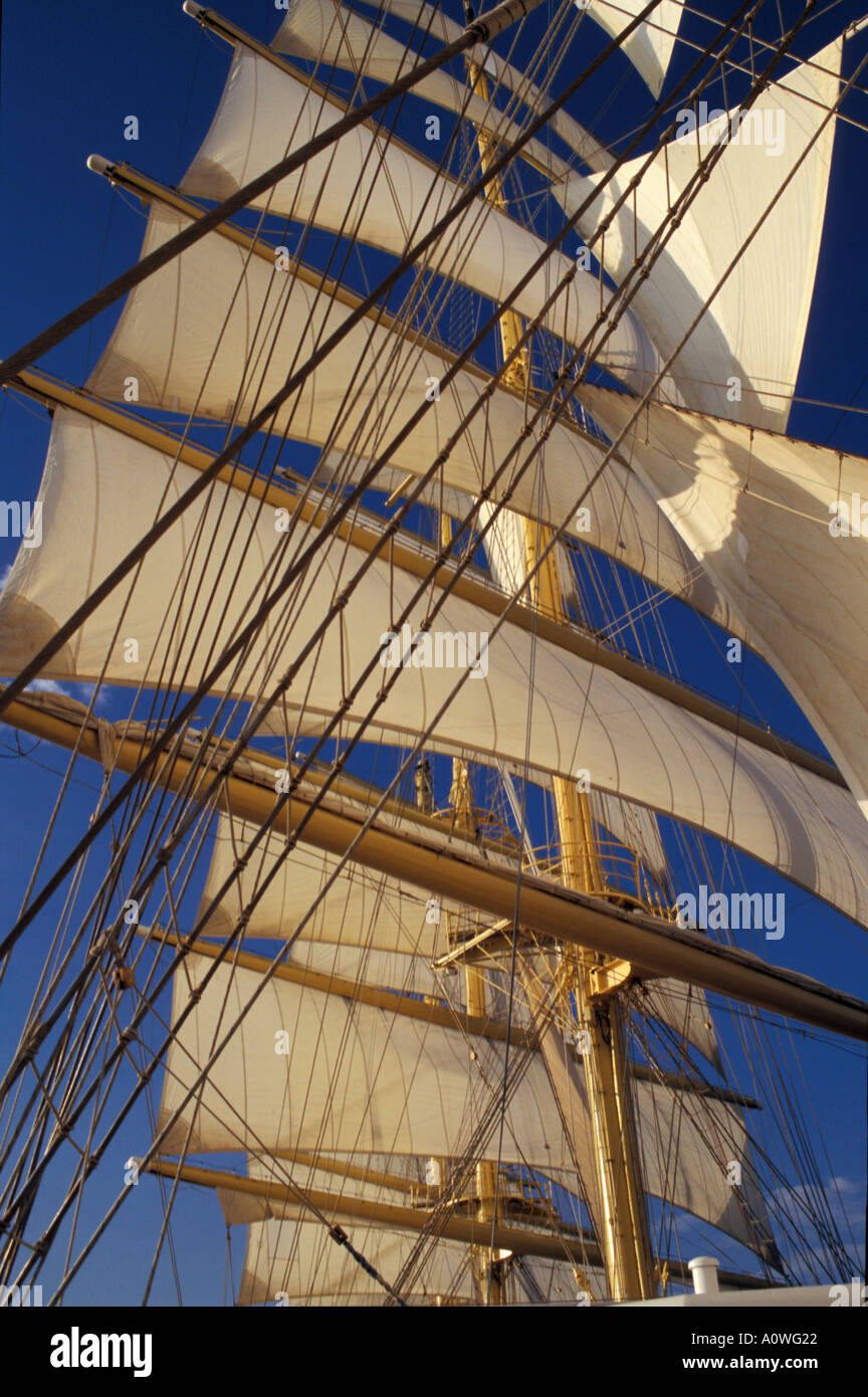 Royal Clipper nave da crociera Foto Stock