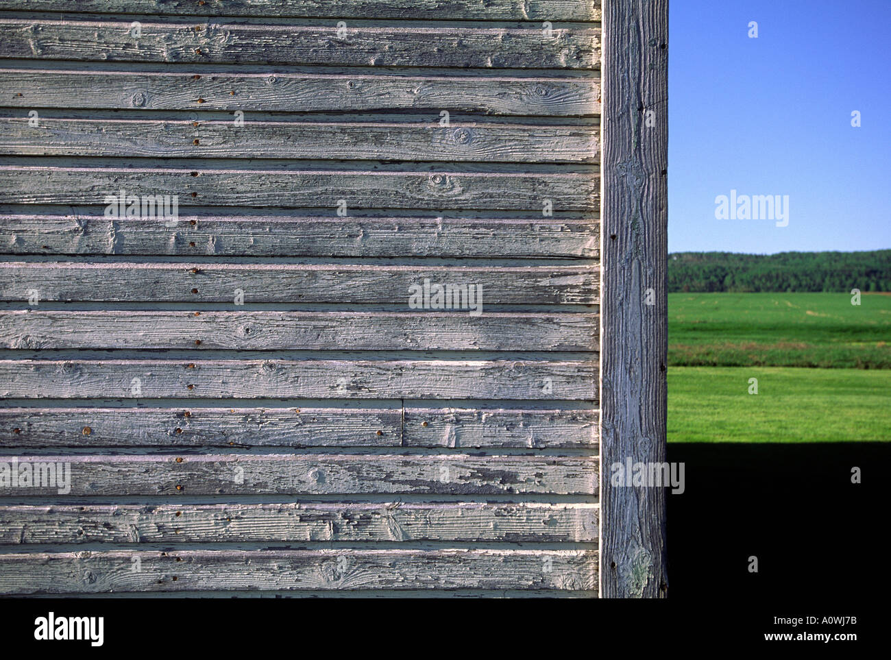 Weathered clapboard schierati su un fienile in Québec Canada Foto Stock