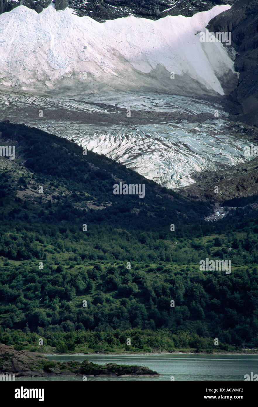 Un ghiacciaio nel Parco Nazionale Torres del Paine Cile Foto Stock
