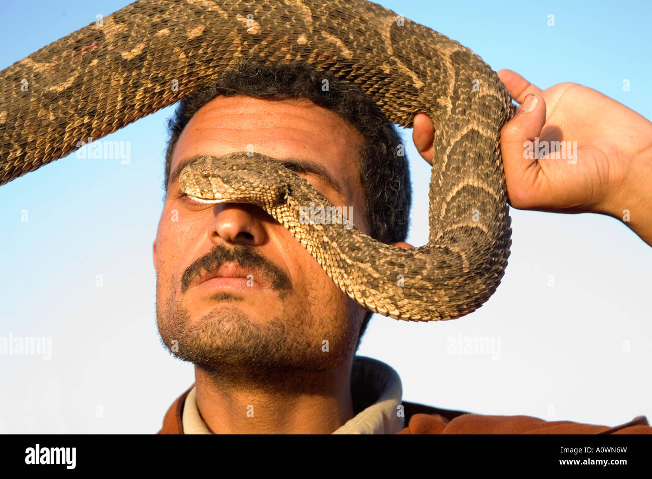Il serpente incantatore nel Djemaa el Fna mercato di Marrakesh Marocco Foto Stock