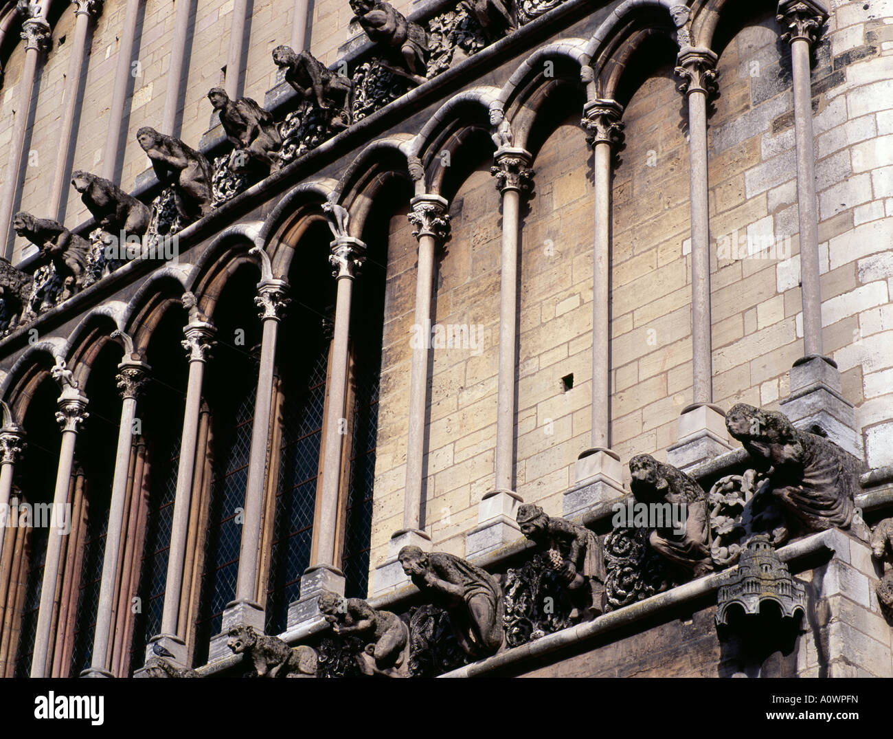 Facciata con falsi gargoyles alla chiesa di Notre Dame Digione Borgogna Francia Foto Stock