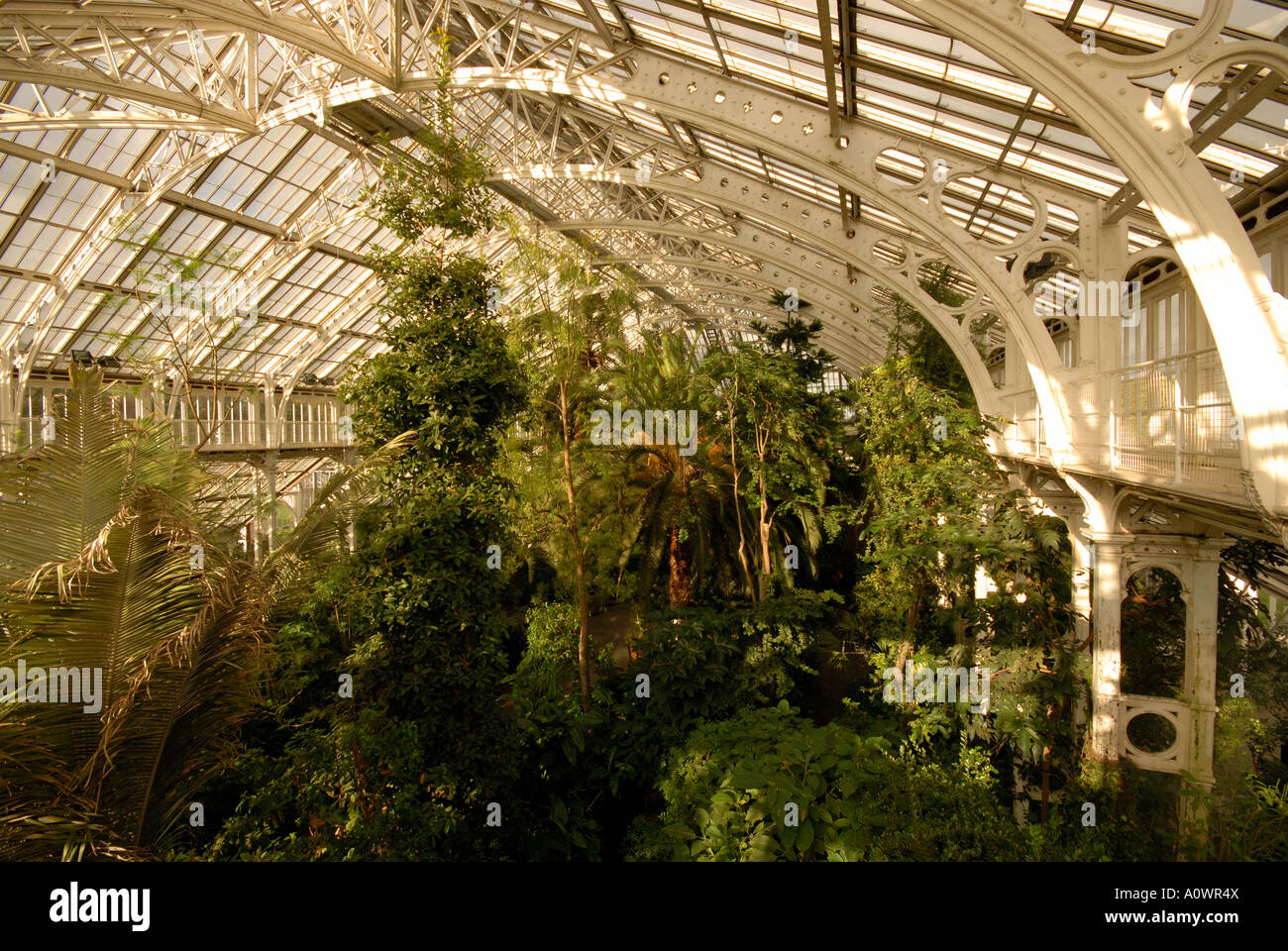 La casa temperate, Kew Gardens, Surrey. Foto Stock