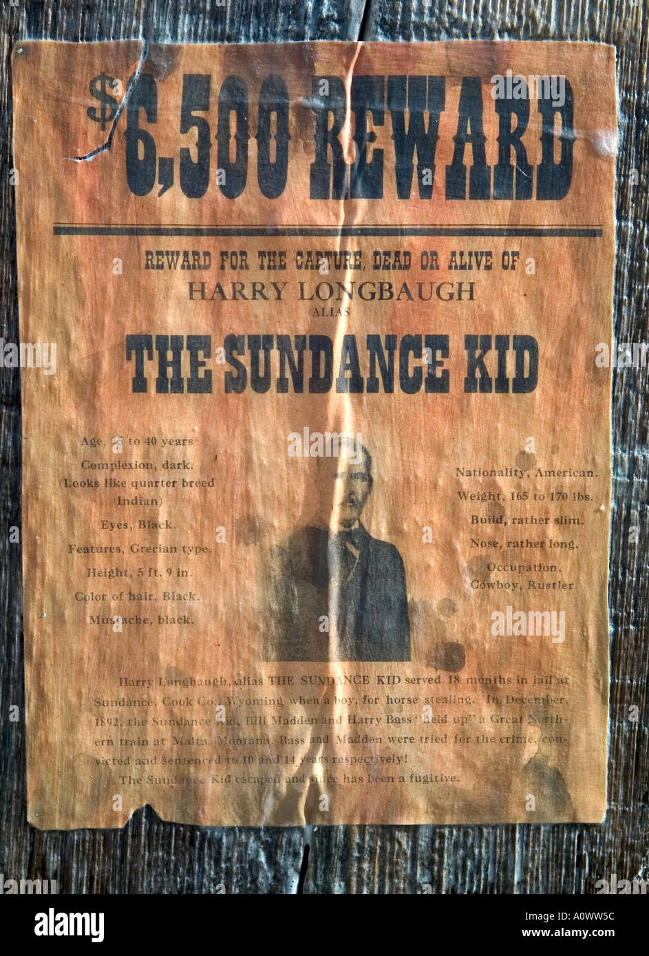 Replica Wanted poster per il Sundance Kid a Tucson Studios Foto Stock