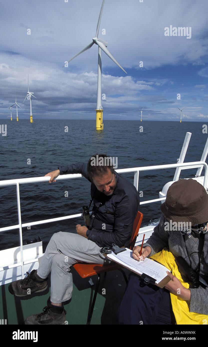 Conteggio di uccello da una barca a North Hoyle off shore wind farm per valutare l'effetto delle 30 turbine sulle popolazioni di uccelli Foto Stock