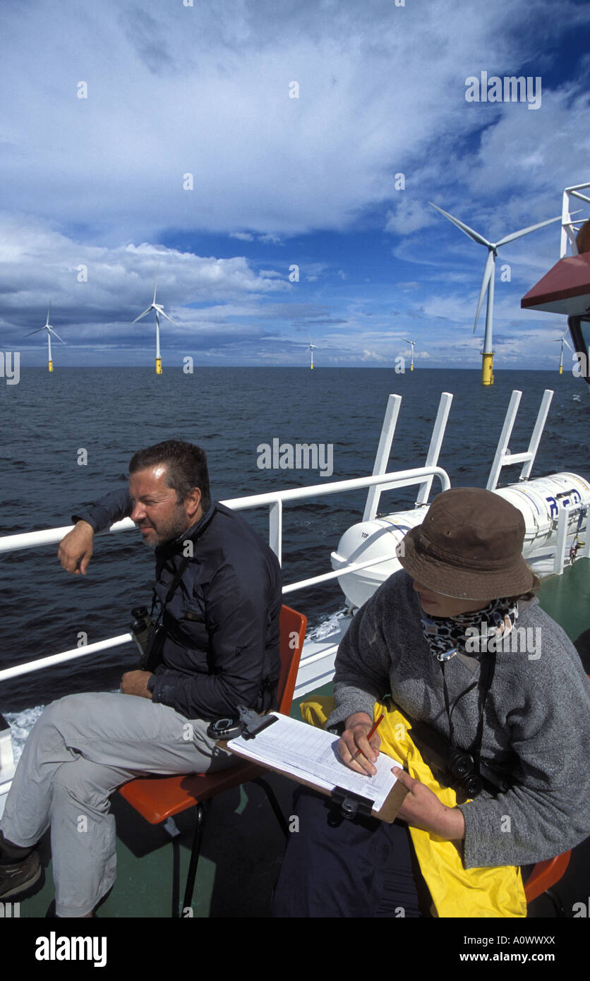 Conteggio di uccello da una barca a North Hoyle off shore wind farm per valutare l'effetto delle 30 turbine sulle popolazioni di uccelli Foto Stock