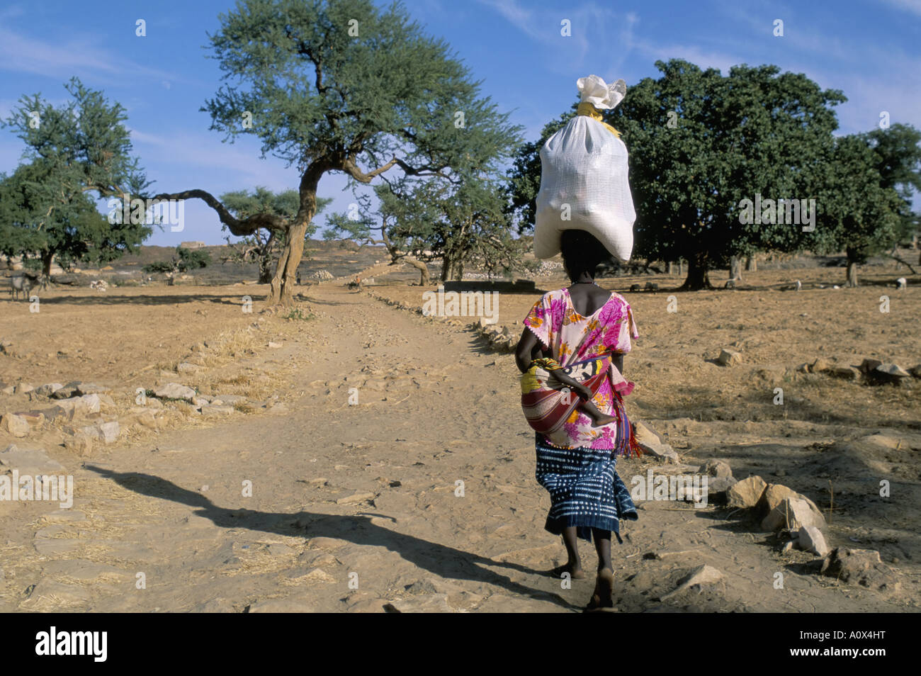 Donna che trasportano il sacco sul suo capo villaggio Ogol Sangha area Dogon del Mali in Africa Foto Stock