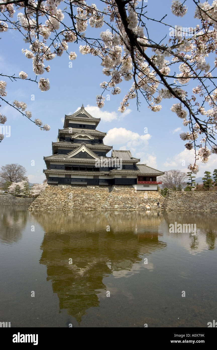 Fiori Ciliegio Matsumoto Castello Matsumoto città Prefettura di Nagano isola di Honshu Giappone Asia Foto Stock