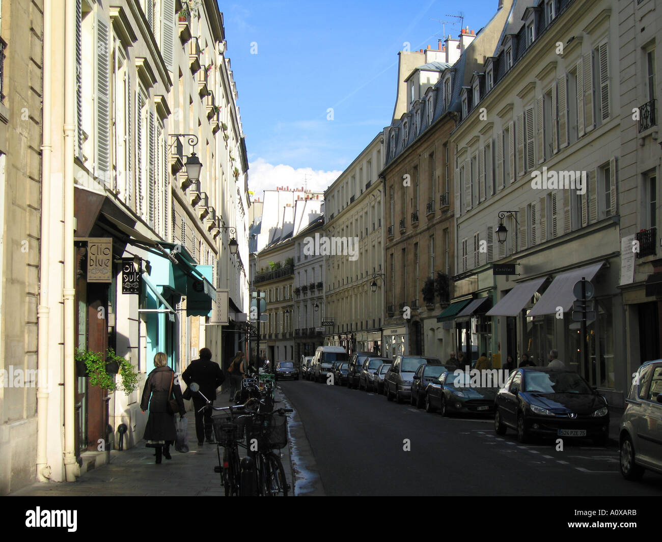 Viale curvo riva sinistra di Parigi Foto Stock