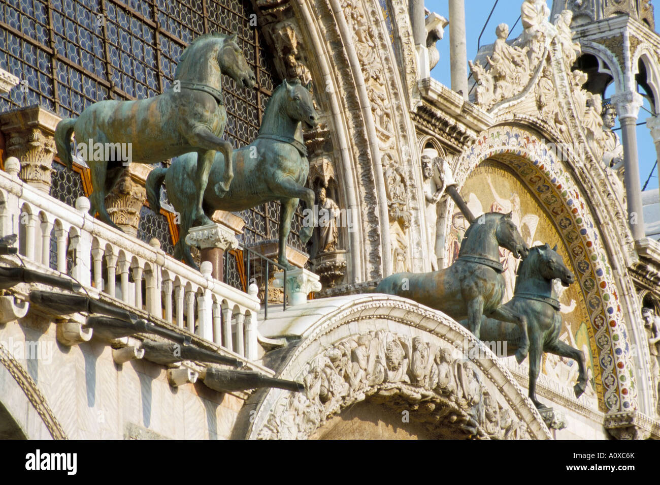 Cavalli in Piazza San Marco Venezia Veneto Italia Europa Foto Stock