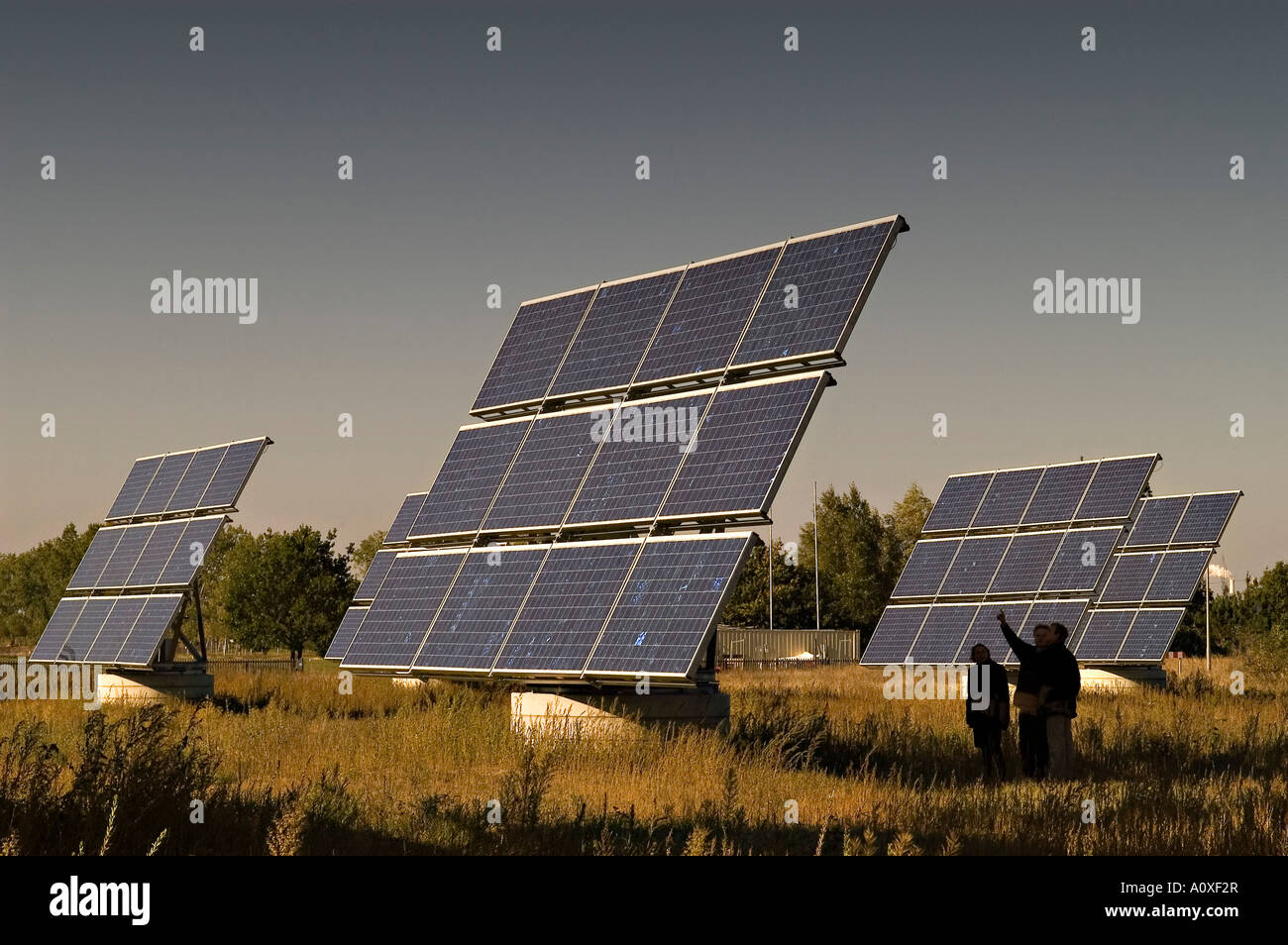 I moduli solari in un terreno di prova Foto Stock