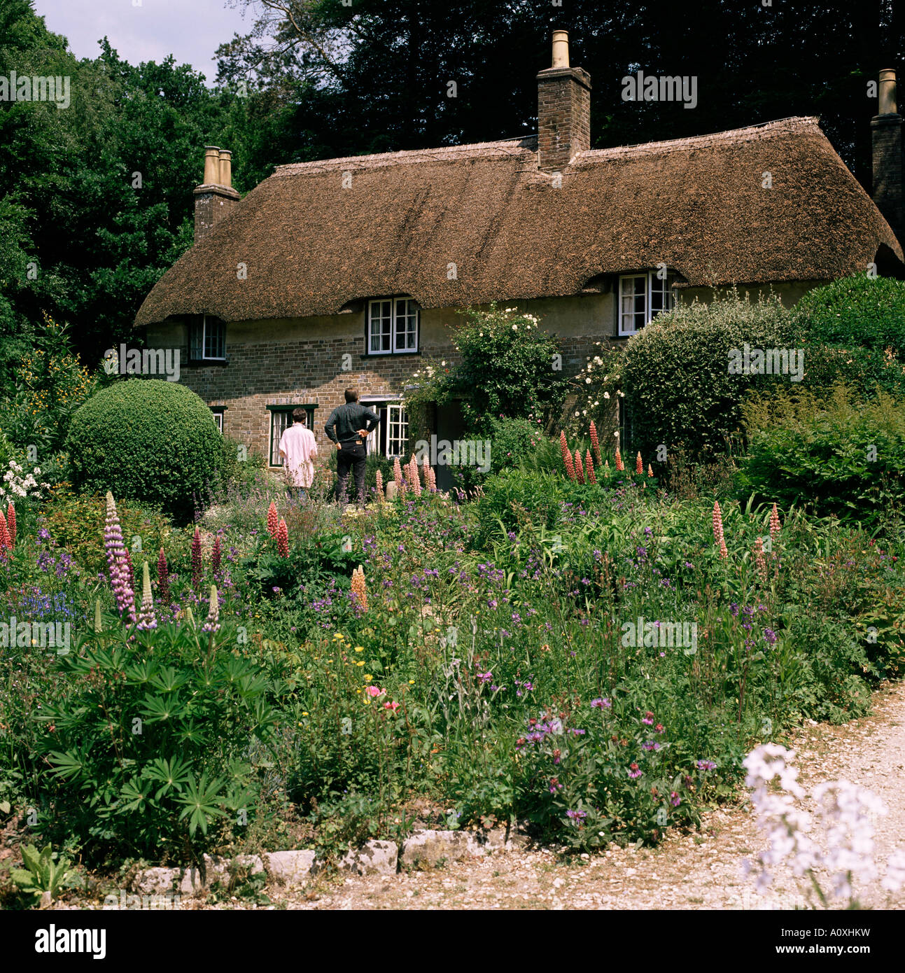 Thomas Hardy s Bockhampton cottage vicino a Dorchester Dorset England Regno Unito Europa Foto Stock