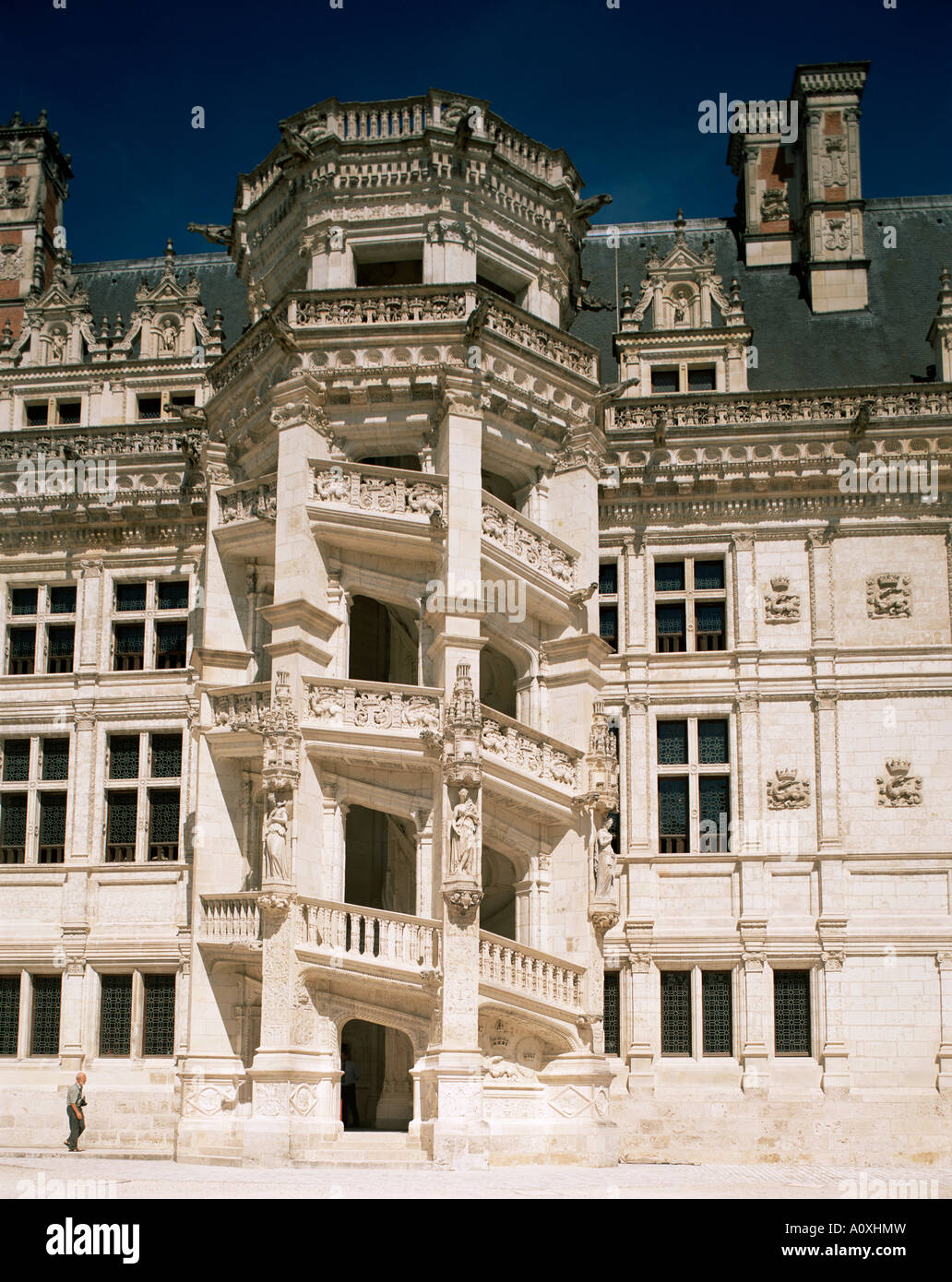 La Scala Castello di Blois Loir et Cher Centre Francia Europa Foto Stock