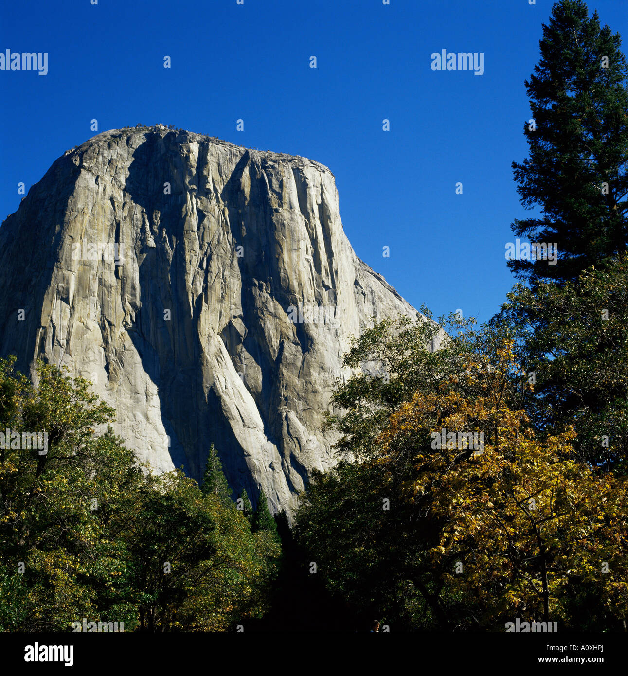 El Capitan Yosemite National Park UNESCO World Heritage Site California Stati Uniti d'America U S A America del Nord Foto Stock