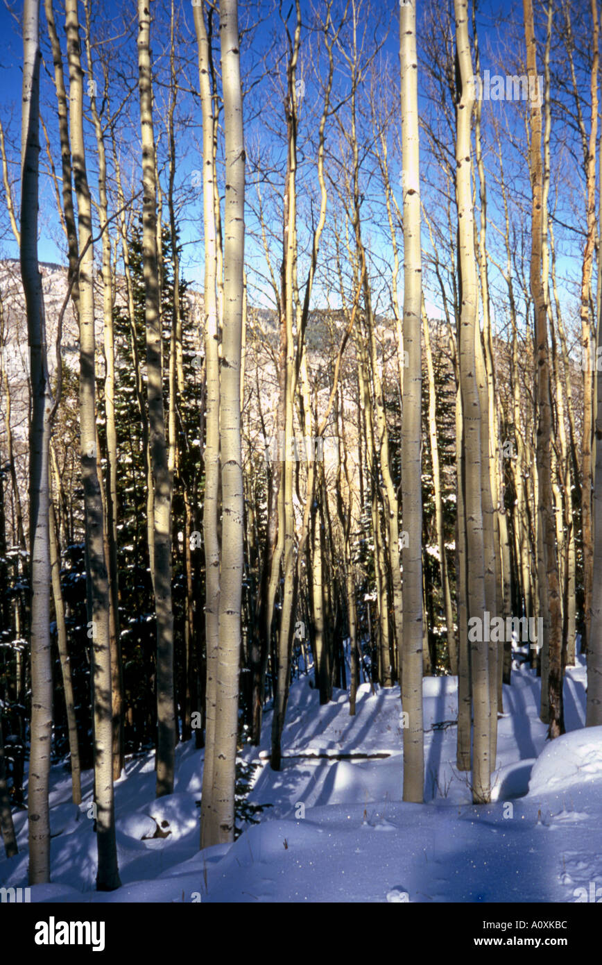 Aspen Colorado Stand Foto Stock