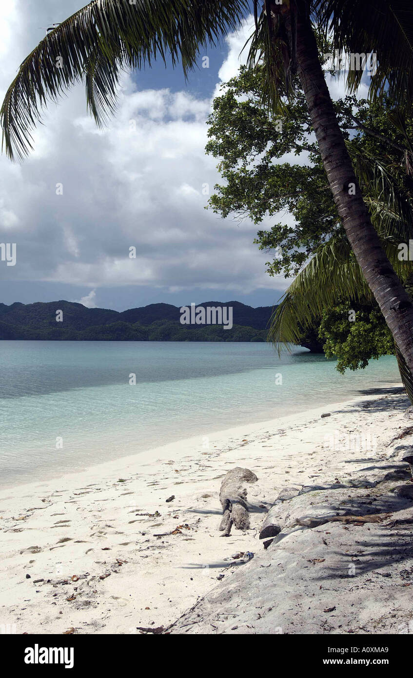 Spiagge di sabbia bianca in Palau Foto Stock