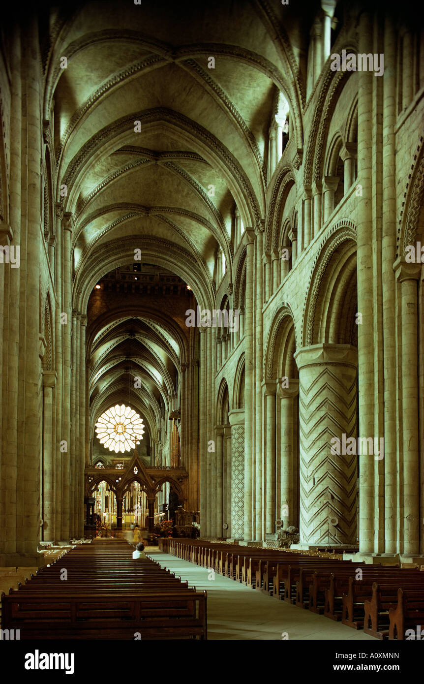 La navata centrale e la Cattedrale di Durham County Durham England Regno Unito Europa Foto Stock