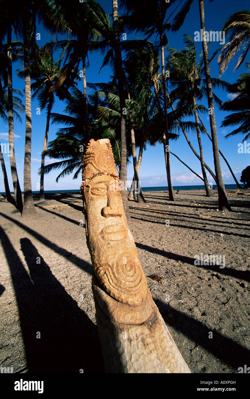 Palma da cocco intagliato in tikis isola di Hawaii Isole Hawaii Stati Uniti d'America Nord America Foto Stock