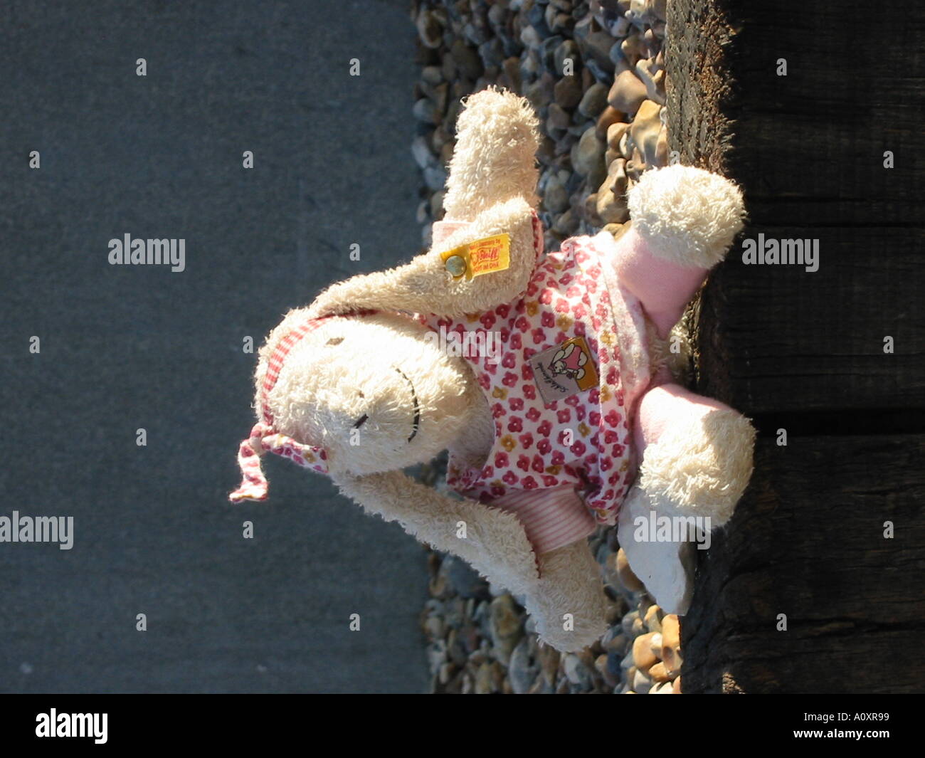 Molto Bassa immagine res coniglio giocattolo seduto sulla parete Foto Stock