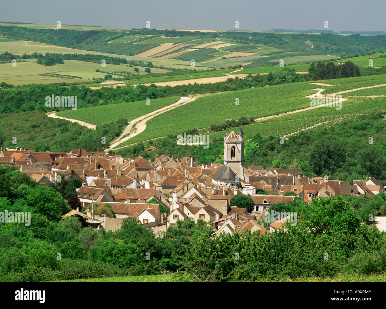 Villaggio di Irancy Borgogna Francia Europa Foto Stock