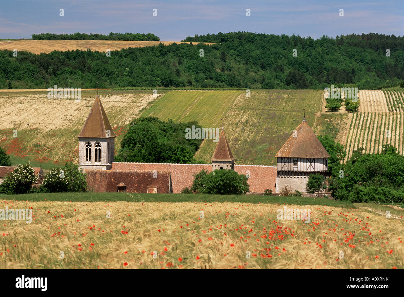 Villaggio di Chitry Borgogna Francia Europa Foto Stock