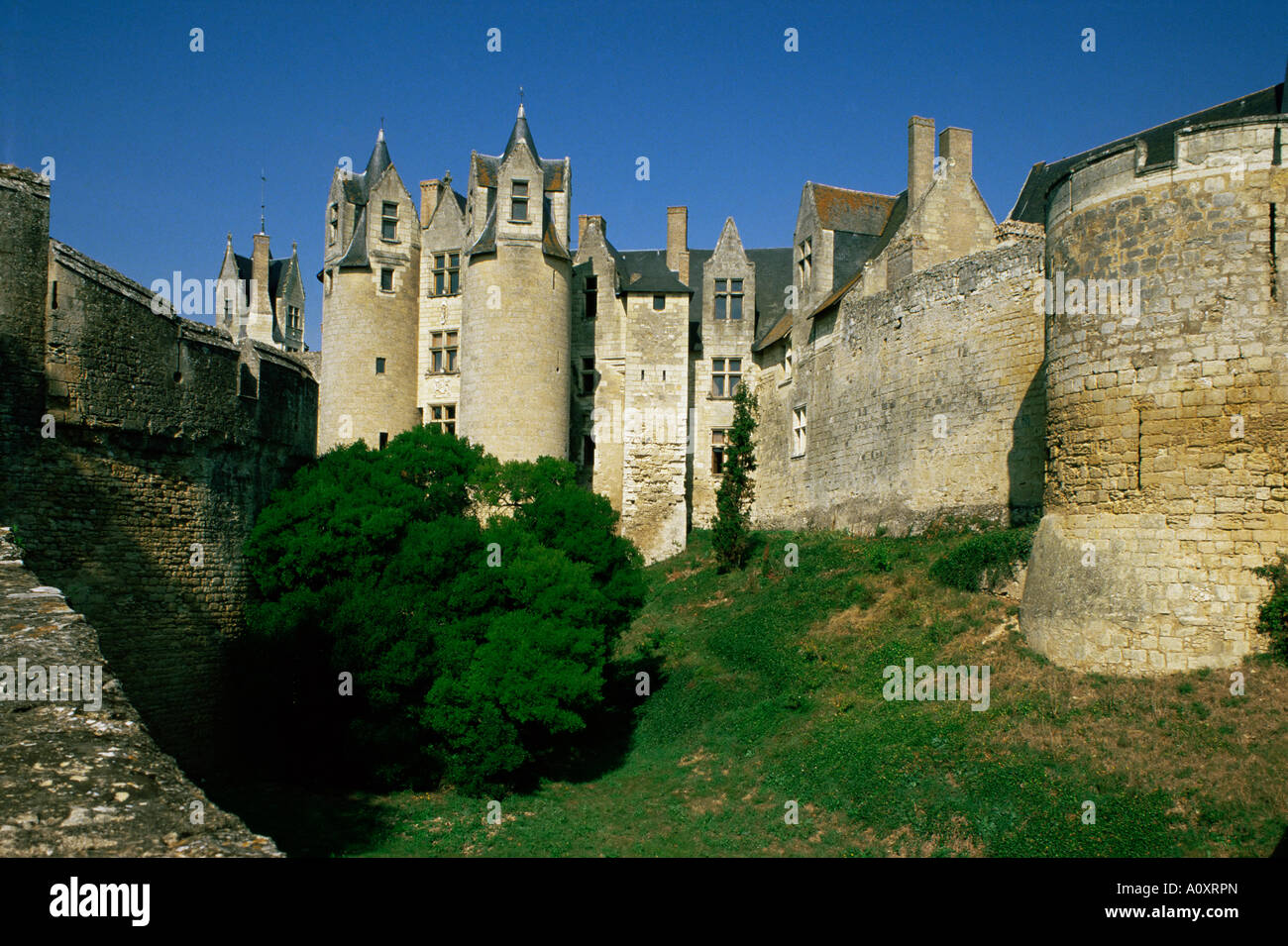 Chateau Montreuil Bellay vicino a Saumur Loira occidentale della Valle della Loira Francia Europa Foto Stock