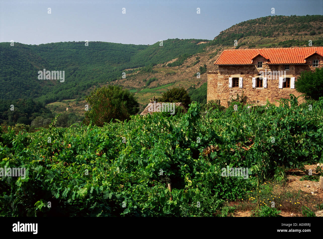 Agriturismo vicino a Millau Aveyron Midi Pirenei Francia Europa Foto Stock