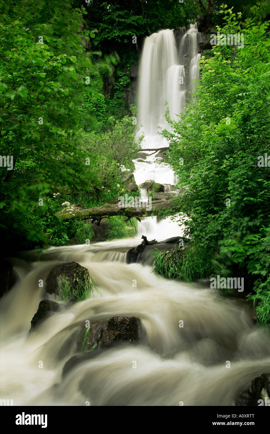 Cascata in prossimità di Le Mont Dor Auvergne Francia Europa Foto Stock