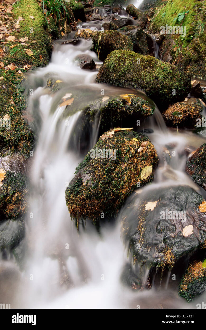 Cascata Holme legno Lake District Cumbria Inghilterra England Regno Unito Europa Foto Stock