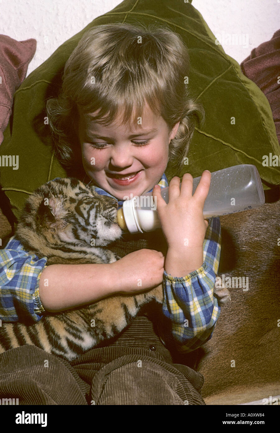 Megan Whittaker di 4 anni con cucciolo di tigre indiano allevato a mano (Panthera tigris tigris). Howletts Zoo Park, Kent, Regno Unito Foto Stock