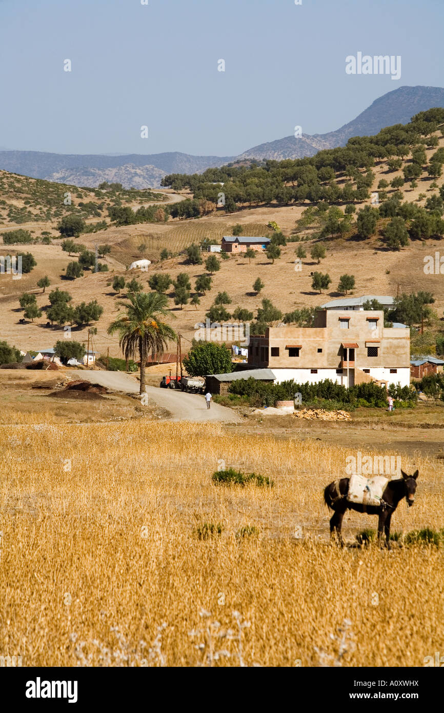 Villaggio al Rif Mountains Marocco Foto Stock