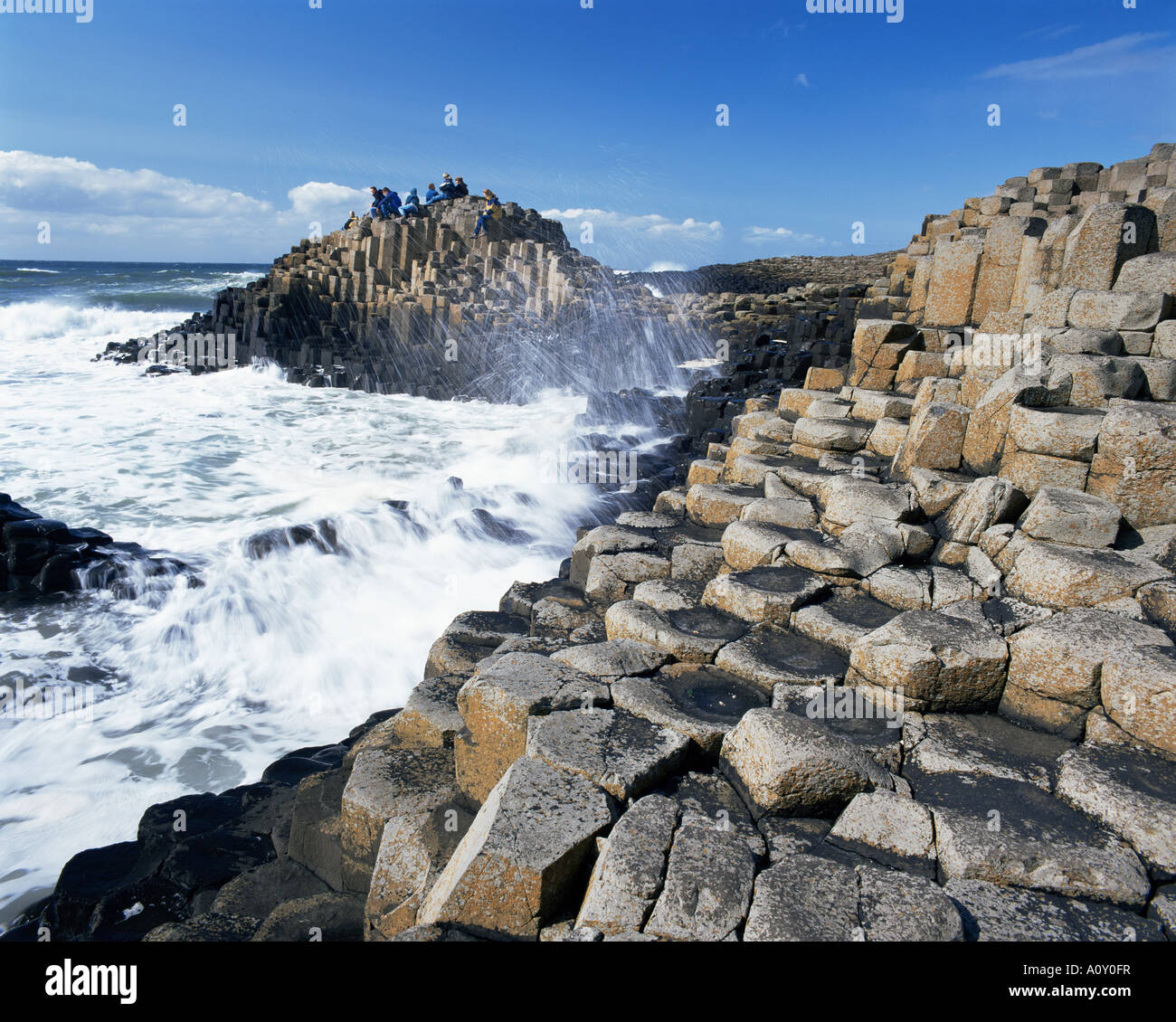 Giant's Causeway sulla costa Causeway 37 000 esagonale a colonne di basalto del Patrimonio Mondiale UNESCO nella contea di Antrim Ulster Northern Foto Stock