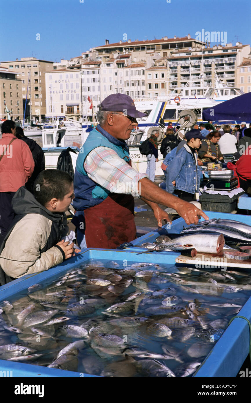 Mercato del Pesce Vieux Port Marseille Bouches du Rhone Provenza Francia Europa Foto Stock