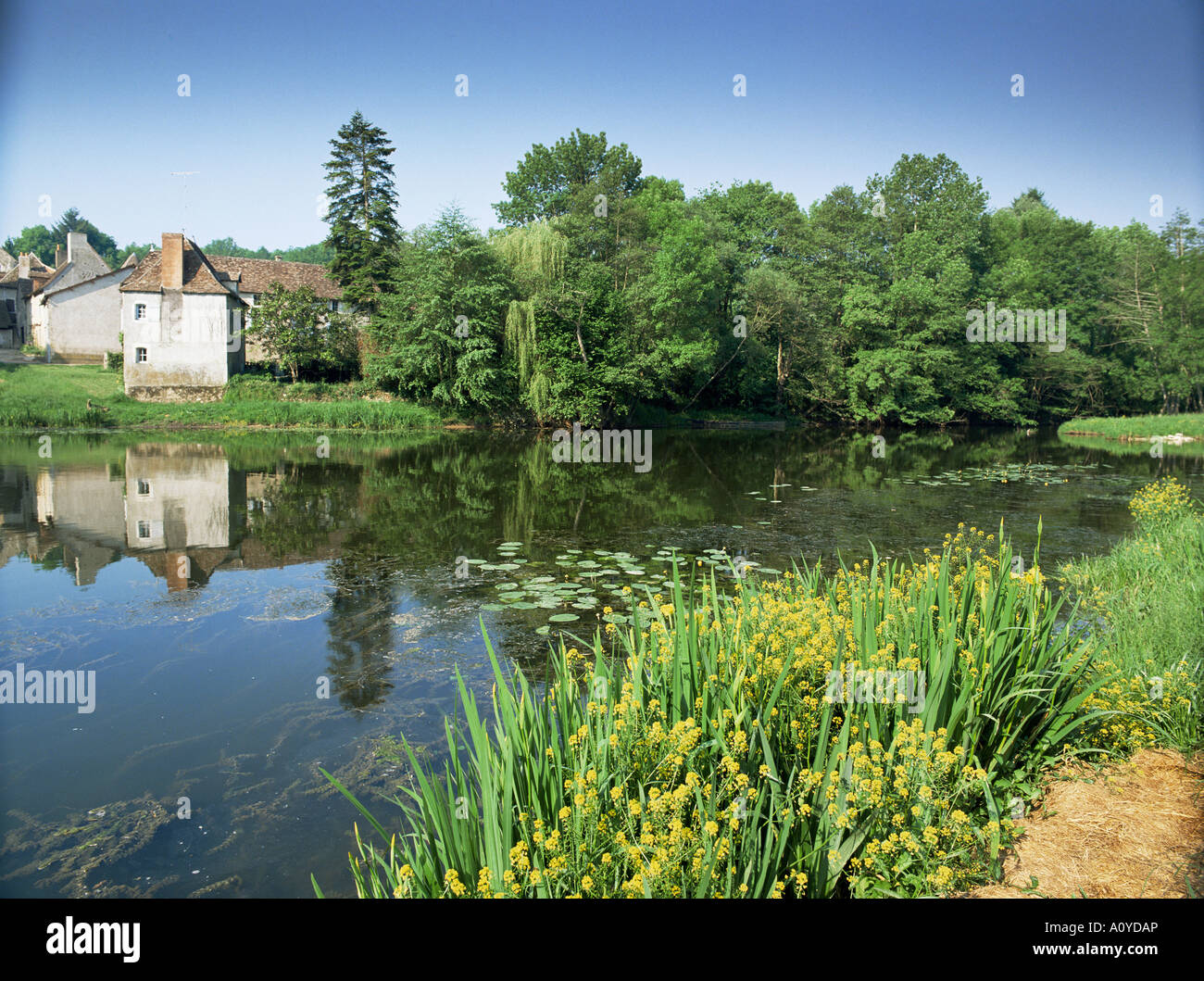 Fiume e case di villaggio angoli sur l Anglin venne Poitou Charentes Francia Europa Foto Stock