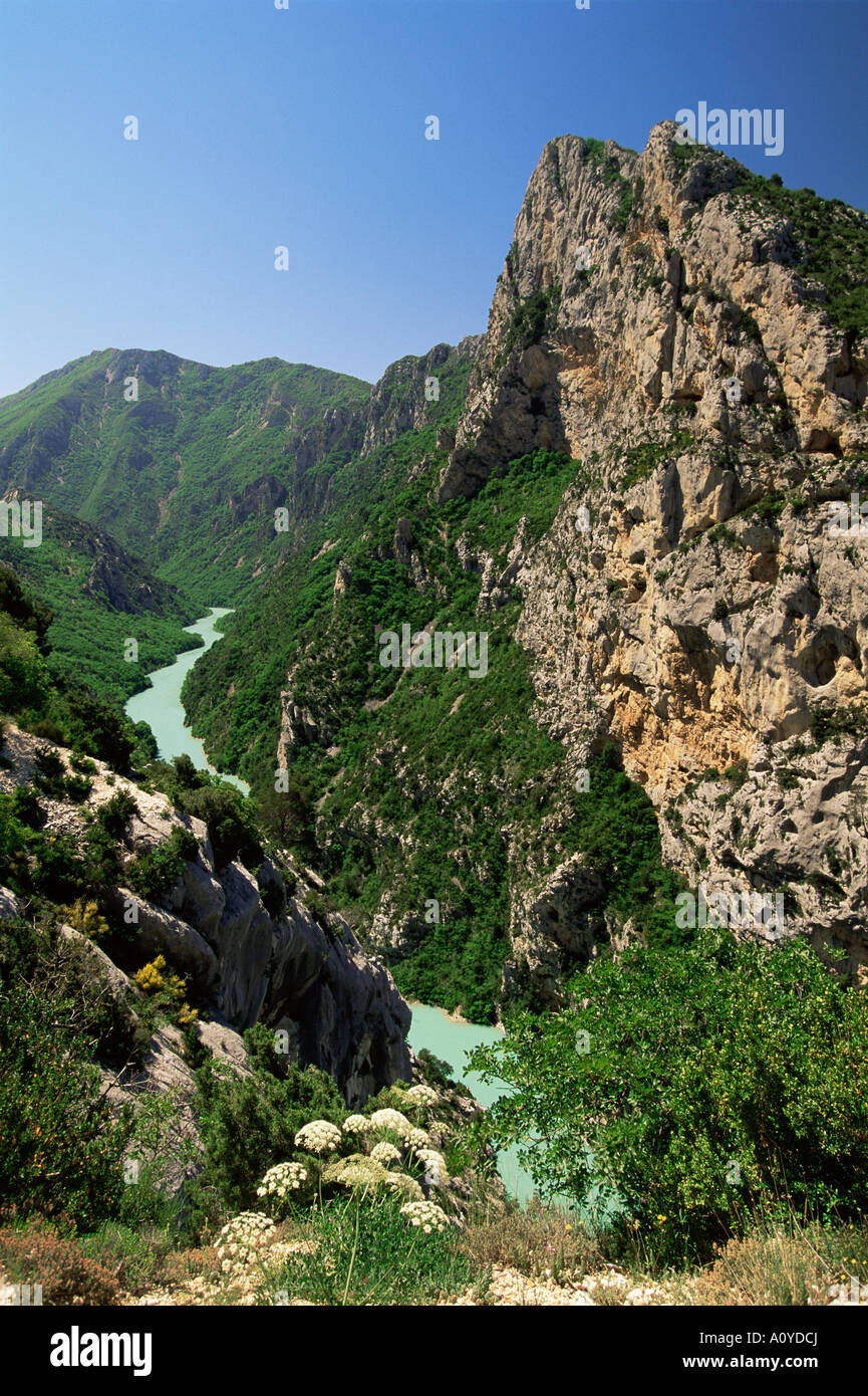 Gole del Verdon Alpes de Haute Provence Provence Francia Europa Foto Stock