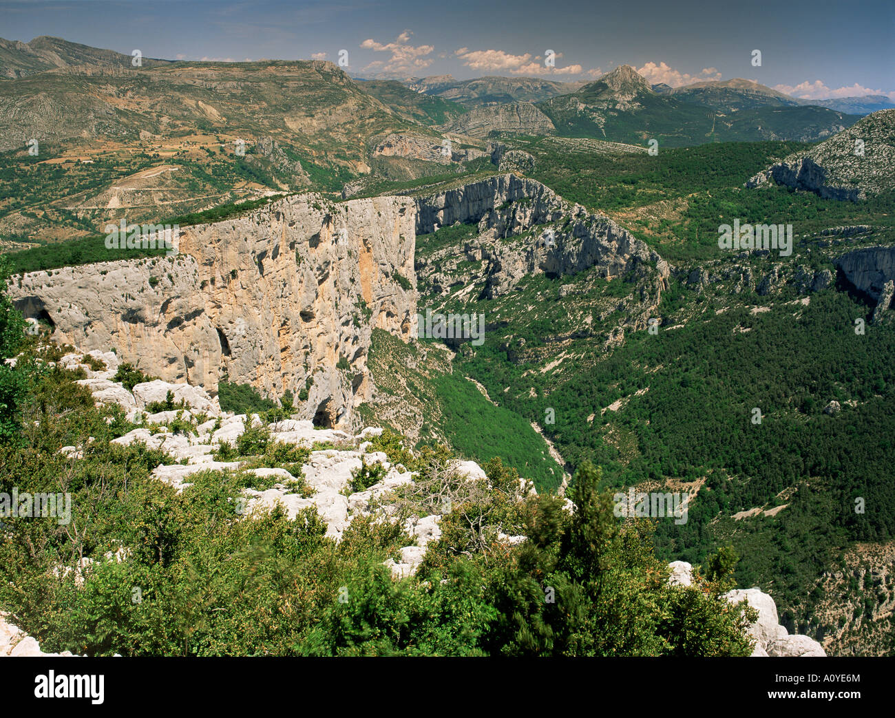 Gole del Verdon Alpes de Haute Provence Provence Francia Europa Foto Stock