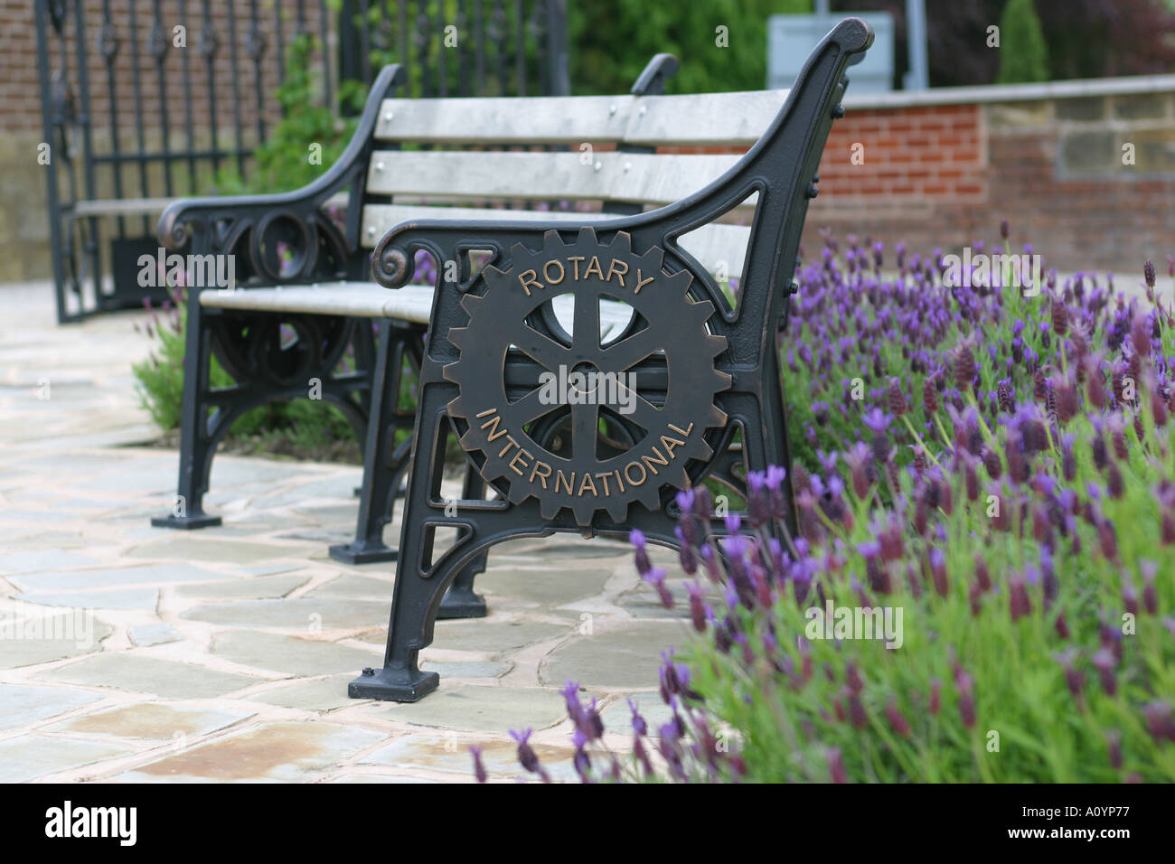 Lavanda francese piantati nella comunità giardino con panchine Foto Stock