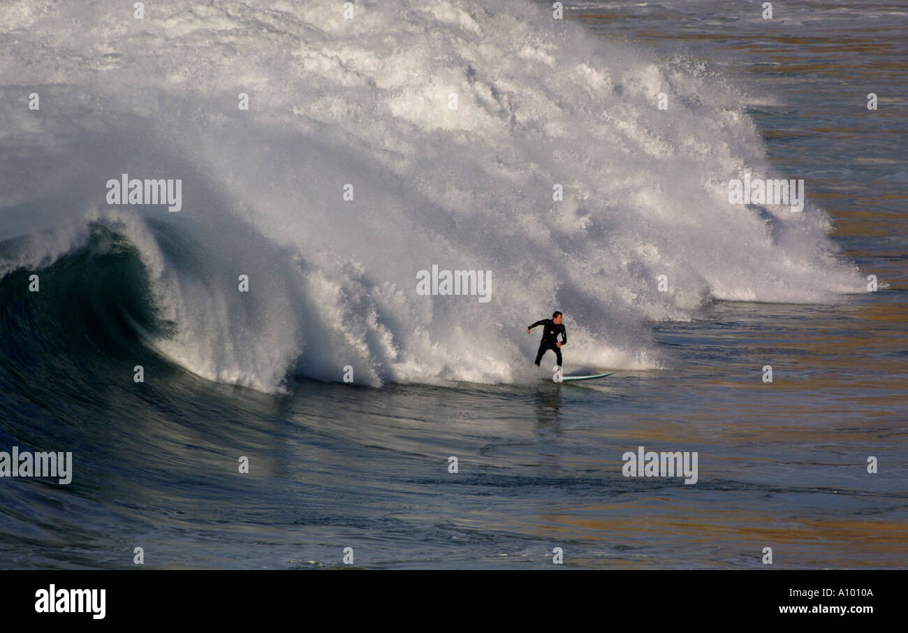 Surfer in acqua dolce vicino a spiaggia di Manly a Sydney. Foto Stock