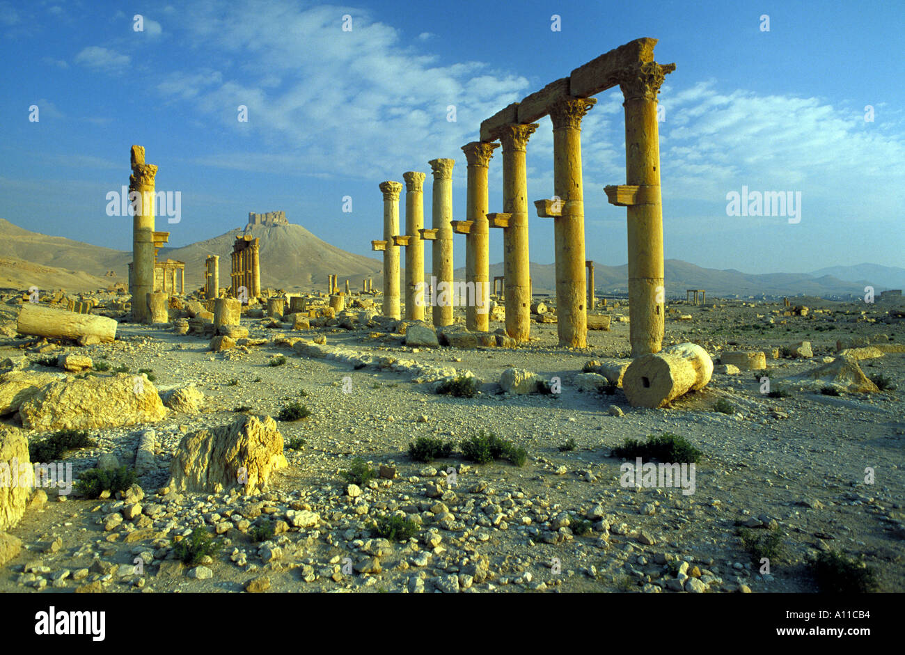 Le rovine romane di Palmyra Siria Foto Stock