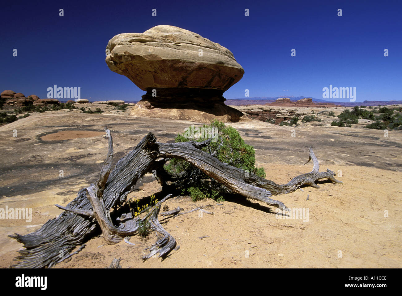 Roccia equilibrato nel quartiere degli aghi Foto Stock
