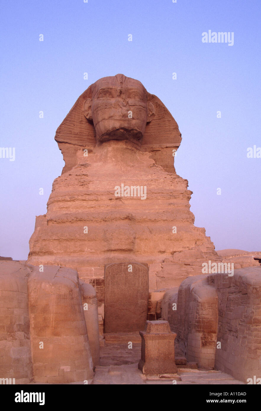 La Sfinge di Giza Egitto Stele di sogno Foto Stock