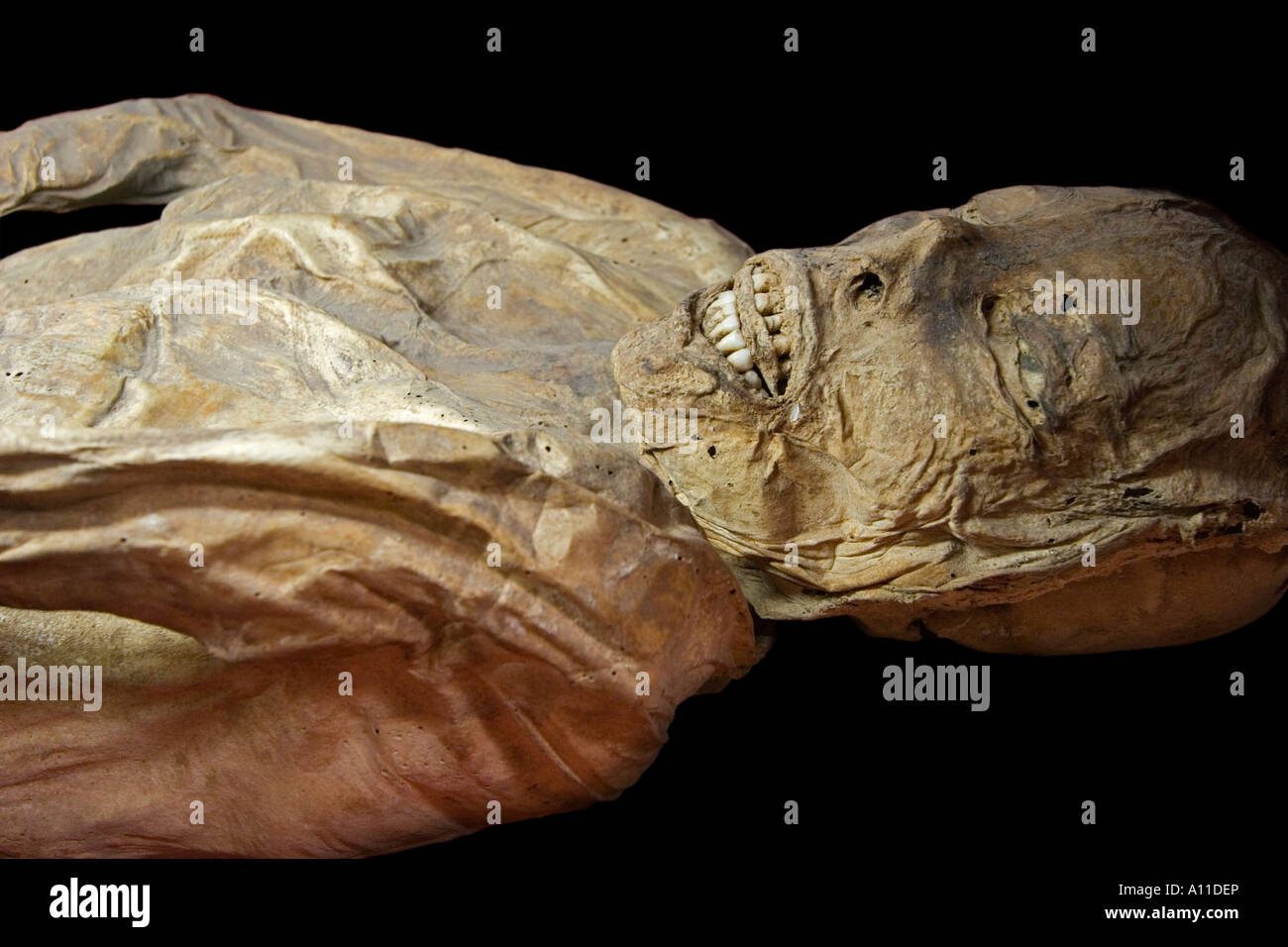 Un cadavere mummificato nel Museo delle Mummie (Guanajuato - Messico). Momie du 'Museo de las Momias' (Guanajuato - Mexique). Foto Stock