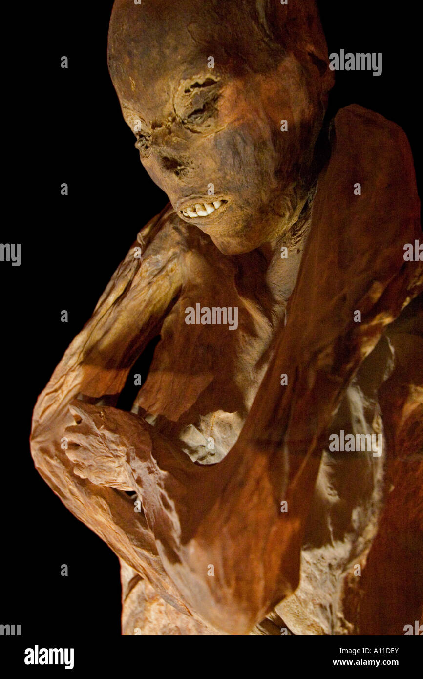 Un cadavere mummificato nel Museo delle Mummie (Guanajuato - Messico). Momie du 'Museo de las Momias' (Guanajuato - Mexique). Foto Stock