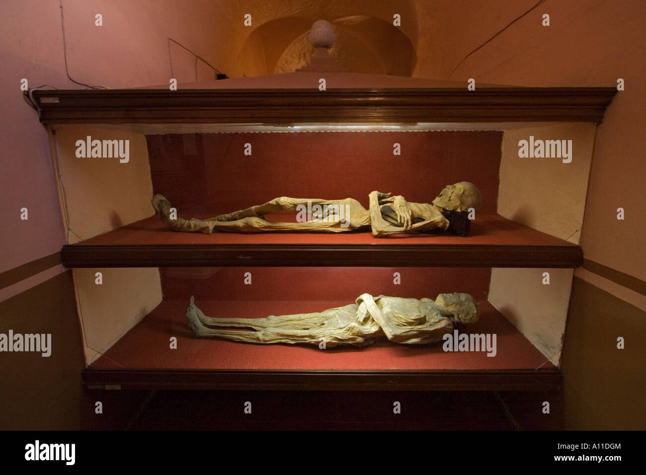 Mostra di mummie in Guanajuato Museum (Messico). Vitrines des momies du 'Museo de las Momias' (Guanajuato, Mexique). Foto Stock
