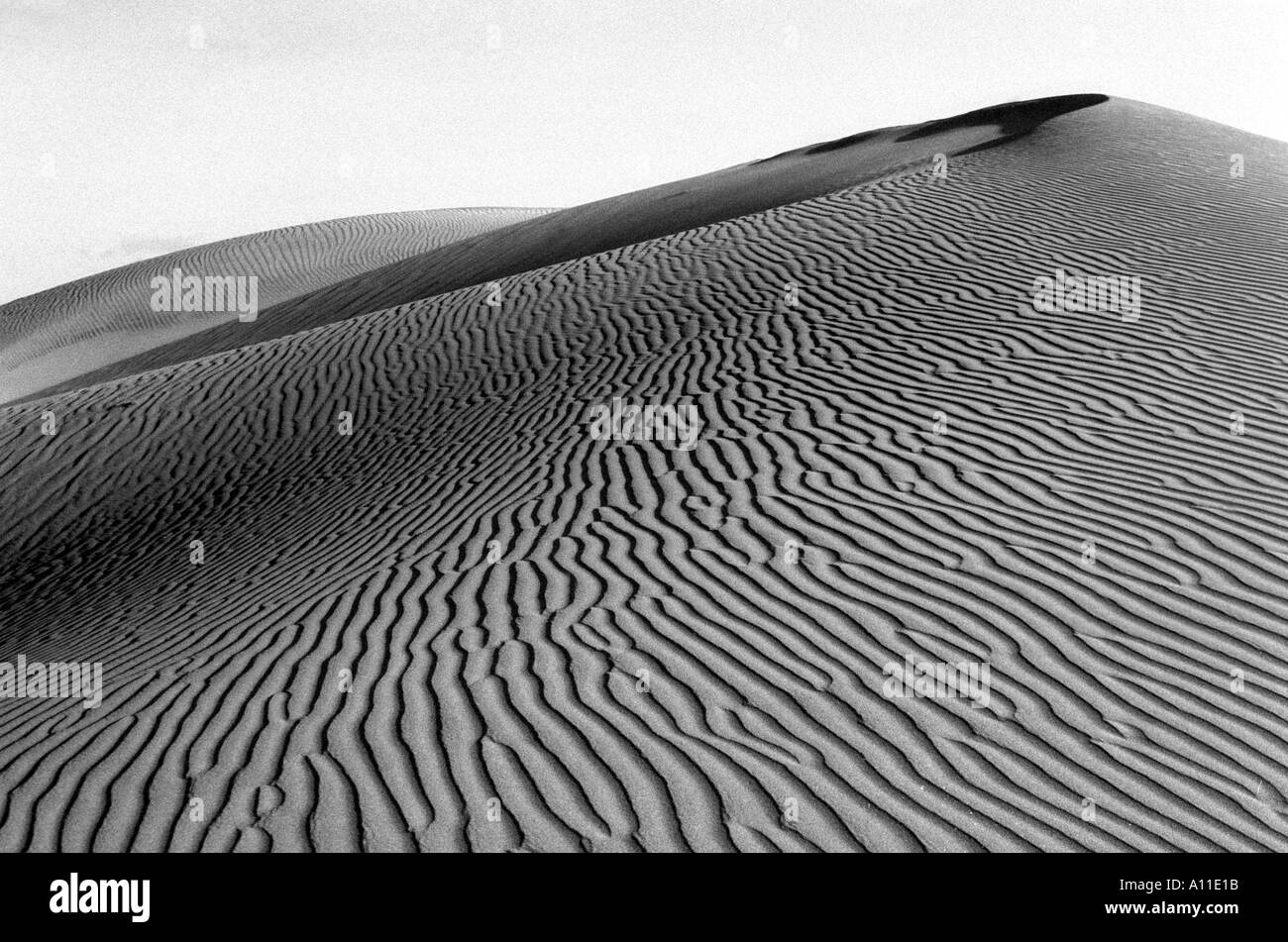 Immagine in bianco e nero di dune di sabbia masspalomas gran canaria Foto Stock