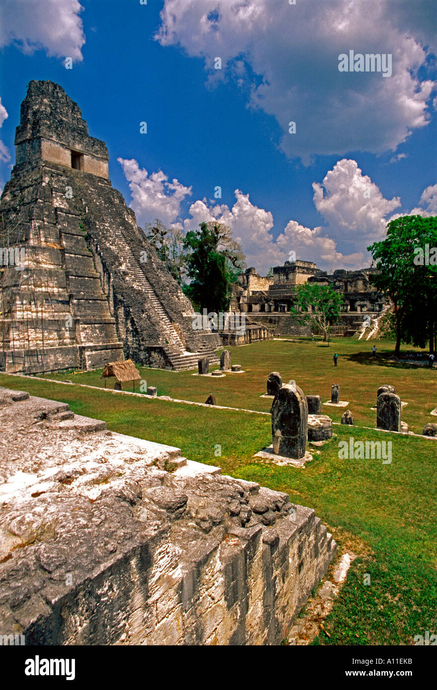 Tempio del gigante Jaguar aka piramide 1 un tempio Maya nella grande Plaza nel Parco Nazionale di Tikal in El Peten Dipartimento in Guatemala America Centrale Foto Stock