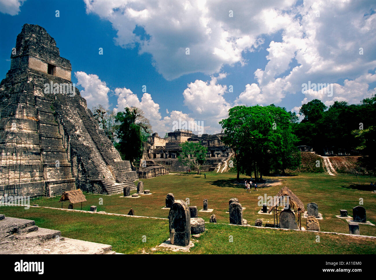 Tempio del gigante Jaguar aka piramide 1 un tempio Maya nella grande Plaza nel Parco Nazionale di Tikal in El Peten Dipartimento in Guatemala America Centrale Foto Stock