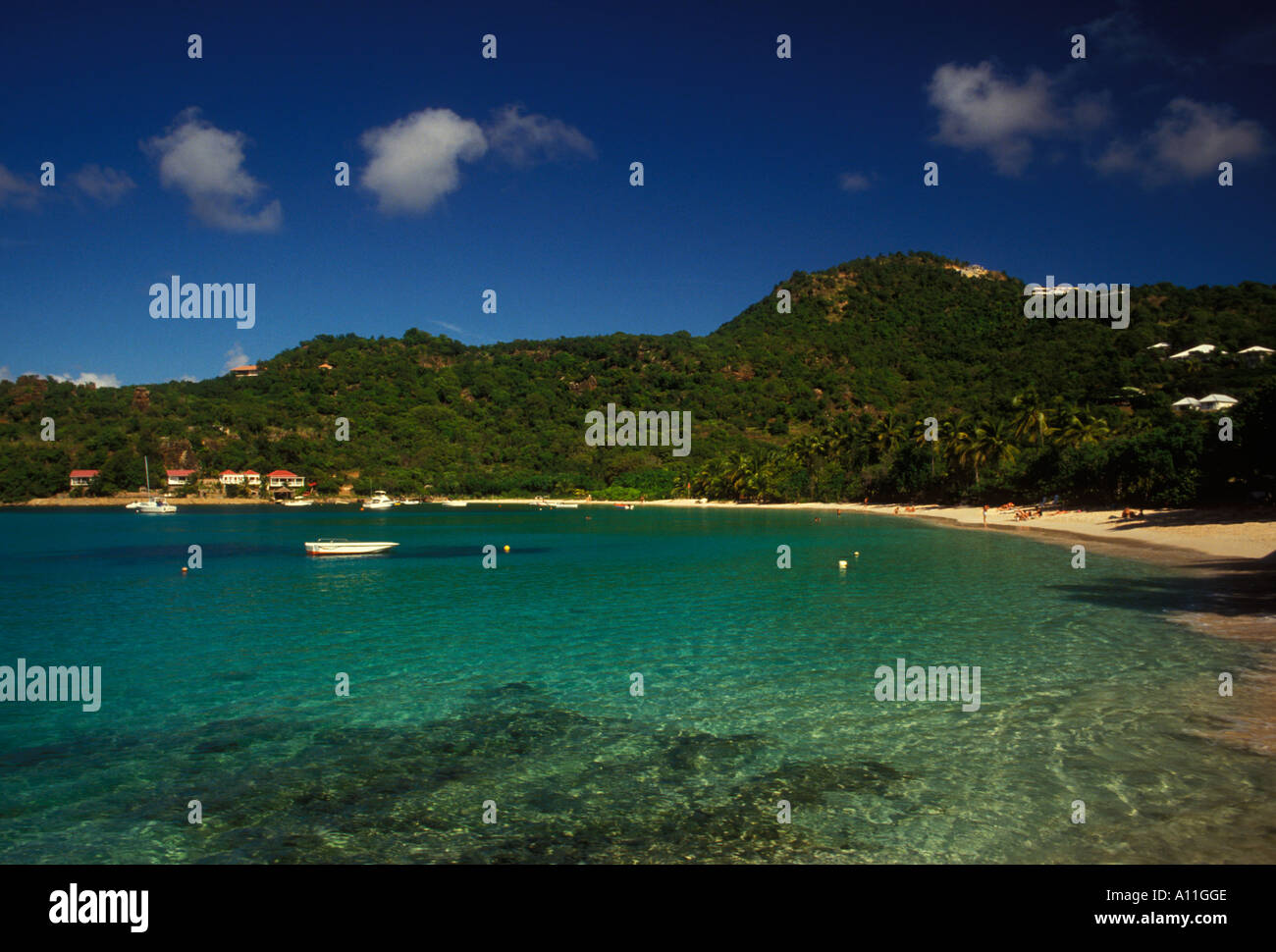 Persone, turisti, Pelican Beach, Saint Barthelemy, St Barts, Caraibi, French West Indies, Francia Foto Stock